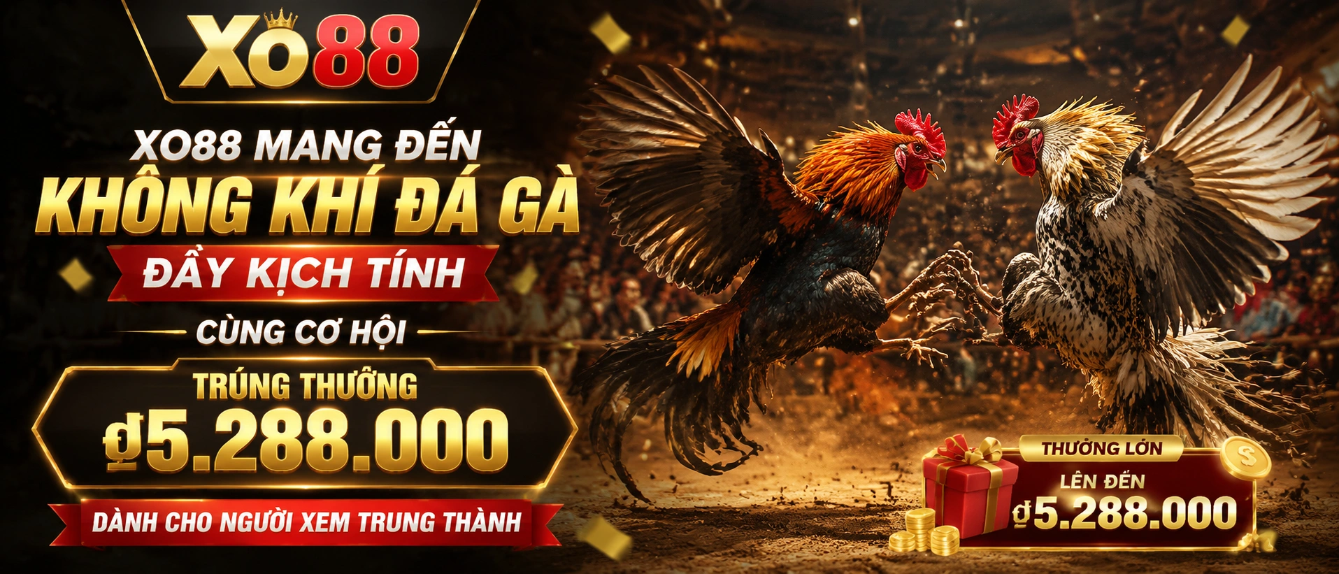 Đá Gà Trực Tiếp trên nền tảng xo88.com.bz